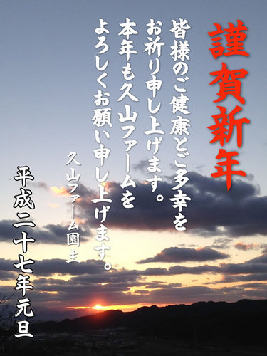 20150101_N.jpg