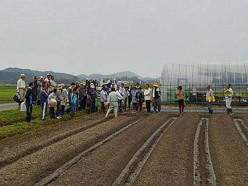 3978.jpg